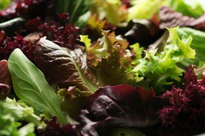 Delicious Mixed Greens Salad