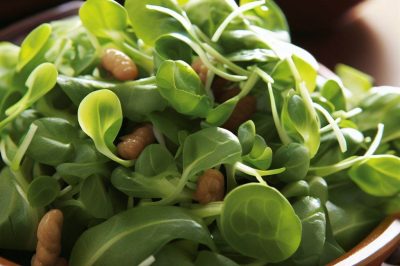 Watercress Salad